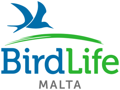 BirdLife Malta