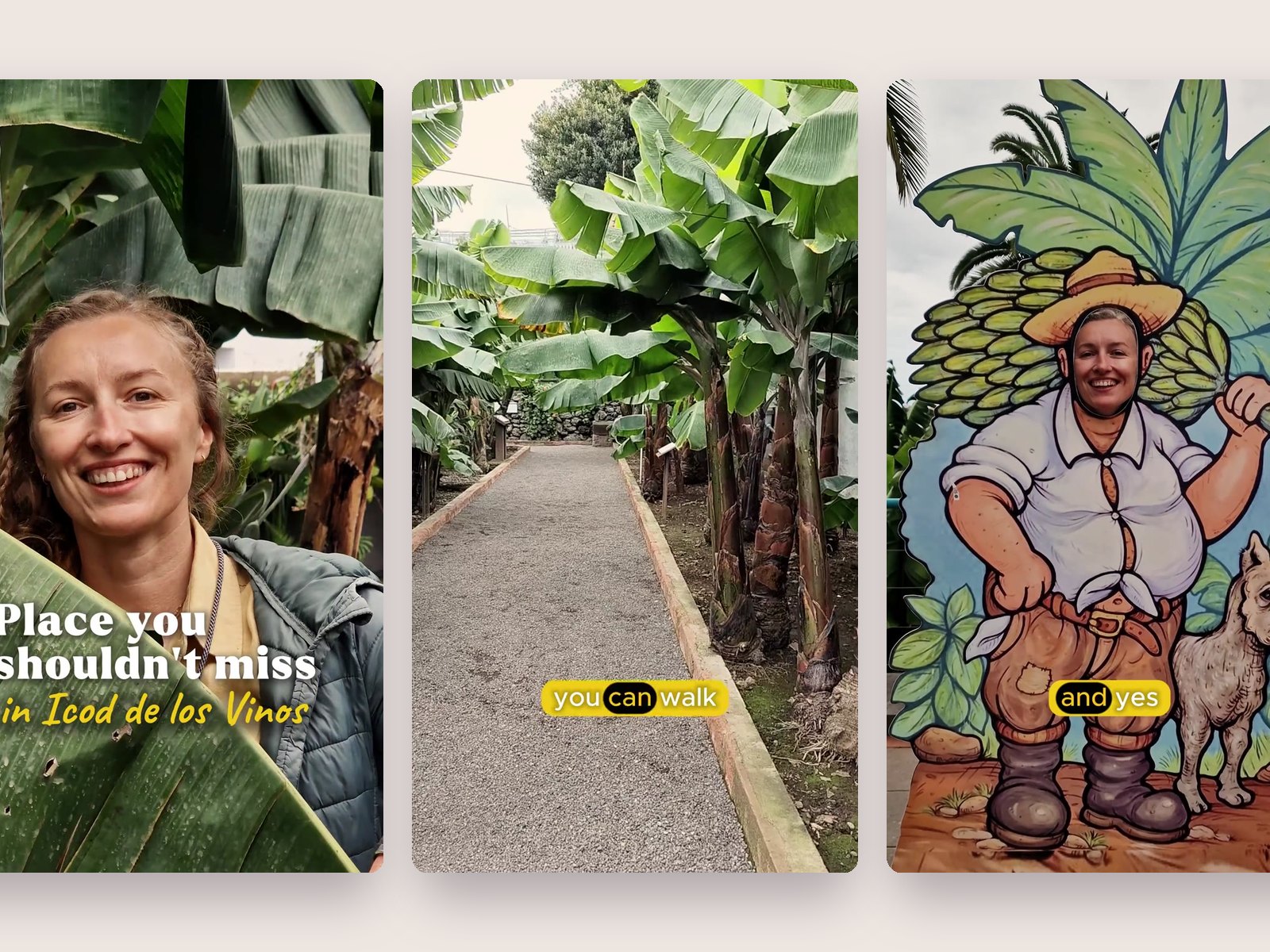 Reel para La Casa del Plátano – La Casa del Plátano