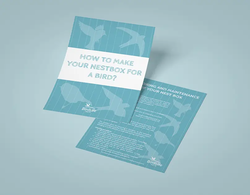 Flyer Design - Nest Boxes guidelines