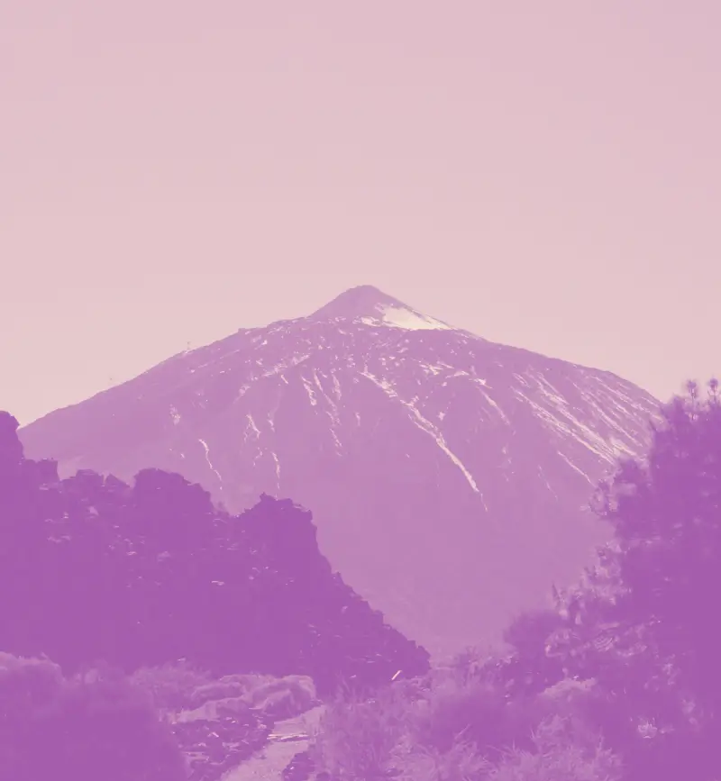 Teidea Design Studio